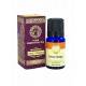 Olejek eteryczny - Pomarańcza (Sweet Orange, Citrus sinensis), 10 ml. Song of India