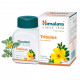 Gokshura (Tribulus Terrestris) - 60 kaps. suplement diety Himalaya Herbals