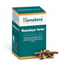 Rumalaya Forte 60 TABL. Himalaya - Bóle stawów i kręgosłupa, suplement diety