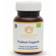 BIO Triphala Guggulu 60 tablets Maharishi Ayurveda