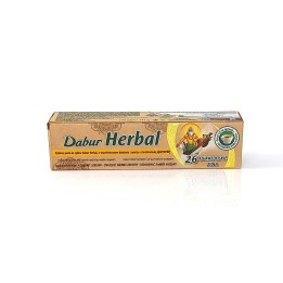 Dabur Ayurvedic Tooth Paste 100ml-UK