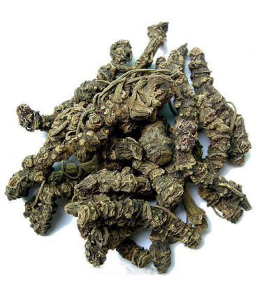 Kadzidło naturalne Waleriana Indyjska 500g Song of India Kadzidło naturalne Waleriana Indyjska 500g Song of India