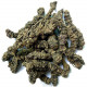 Żywica Valerian Natural Resin in Bulk Pack 1 kg.  REL-VL