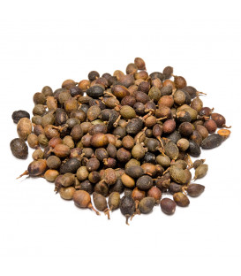 Kadzidło naturalne owoce Wawrzyn Laurowy duża paczka 1 kg Song of India