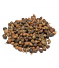 Żywica 1 kg. Laurel Berry Natural Resin in Bulk Pack REL-LU