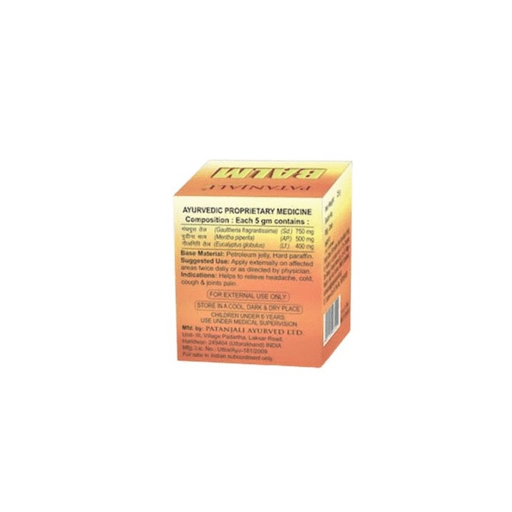 Patanjali Balm  25g