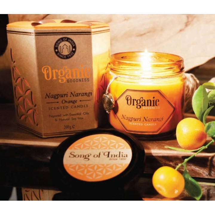200 g. Organic Goodness Soy Candle in Amber Colored Orange